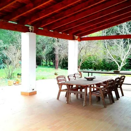 Coluccia,